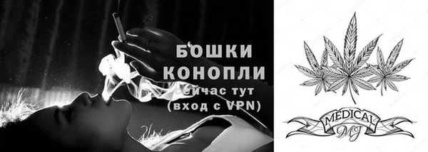 прущие грибы Балашиха